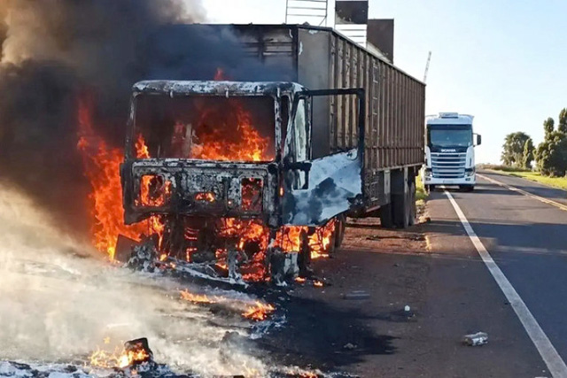 Motorista liberta gado em rodovia para salvar animais de incêndio em carreta