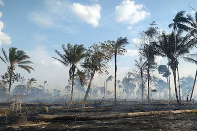 Mato Grosso do Sul participa de encontro sobre preparação do SUS para o El Niño
