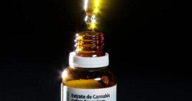 Autorizações para importação de cannabis aumentam 29% em 2026