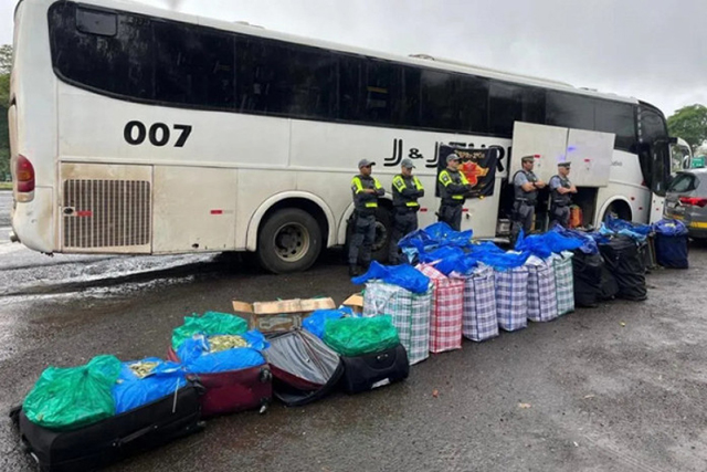 Ônibus de MS para SP é flagrado com 746 quilos de folhas de coca