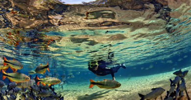 Novo site reúne atrações de ecoturismo de Bonito e Jardim
